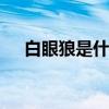 白眼狼是什么意思 白眼狼的意思是什么