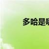 多哈是哪个的 多哈是哪个的首都
