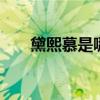 黛熙慕是哪个的品牌 黛熙慕是哪个的