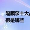 隔膜泵十大品牌排行榜 隔膜泵十大品牌排行榜是哪些