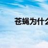 苍蝇为什么要搓手 苍蝇为什么总搓手