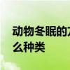动物冬眠的方式有哪些 动物冬眠的方式有什么种类