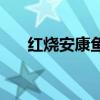 红烧安康鱼怎么做  红烧安康鱼的做法