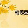 相思豆是什么 相思豆是什么豆
