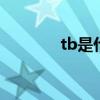 tb是什么牌子 tb是什么品牌