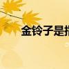 金铃子是指什么昆虫 金铃子又名什么