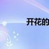 开花的树有哪些 哪些树会开花