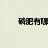 磷肥有哪些种类 磷肥的种类有哪些