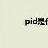 pid是什么意思 pid全称是什么