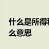 什么是所得税收入审计 所得税收入审计是什么意思