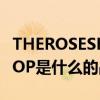 THEROSESHOP是哪个的品牌 THEROSESHOP是什么的品牌