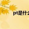 pt是什么意思 pt是什么意思英语