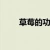 草莓的功效与作用 草莓的营养价值
