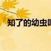 知了的幼虫叫什么 知了的幼虫学名叫什么