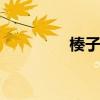 楱子是什么 楱子是什么啊