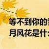 等不到你的雪月风花是什么歌 等不到你的雪月风花是什么歌曲