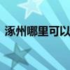 涿州哪里可以看桃花 涿州可以看桃花的地方