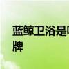 蓝鲸卫浴是哪个的品牌 蓝鲸卫浴是什么的品牌