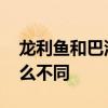 龙利鱼和巴沙鱼的区别 龙利鱼和巴沙鱼有什么不同
