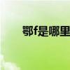 鄂f是哪里的车牌 鄂f是哪里的车牌啊