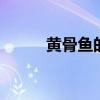 黄骨鱼的做法 黄骨鱼怎么做好吃
