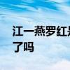 江一燕罗红是怎么回事 江一燕罗红已经分手了吗