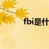 fbi是什么组织 的fbi是什么组织