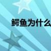 鳄鱼为什么会流泪 为什么鳄鱼会流眼泪