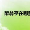 醉翁亭在哪里个城市 醉翁亭位于哪个城市