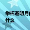 举杯邀明月的下一句 举杯邀明月的下一句是什么