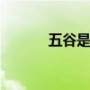 五谷是哪五谷 五谷是指哪五谷