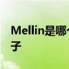 Mellin是哪个的品牌 Mellin美林是什么的牌子