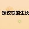 螺纹铁的生长习性是什么 螺纹铁的生长习性
