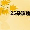25朵玫瑰花语 25朵玫瑰表示的意思