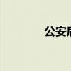 公安肩章 公安肩章等级排名