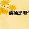 清扬是哪个的品牌 清扬是哪国的牌子