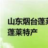 山东烟台蓬莱知名特产有哪些  适合带回家的蓬莱特产