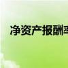 净资产报酬率是什么 什么是净资产报酬率