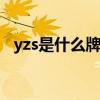 yzs是什么牌子口红 yzs属于什么牌子口红