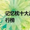 记忆枕十大品牌排行榜 记忆枕的十大品牌排行榜