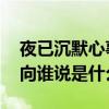 夜已沉默心事向谁说是什么歌 夜已沉默心事向谁说是什么歌词