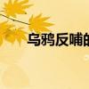 乌鸦反哺的故事 乌鸦反哺的故事简短