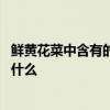鲜黄花菜中含有的毒素是什么 鲜黄花菜中含有的毒素到底是什么