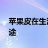 苹果皮在生活中有哪些妙用 苹果皮有什么用途