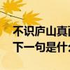 不识庐山真面目的下一句 不识庐山真面目的下一句是什么