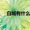 白城有什么特色美食 白城特色美食推荐