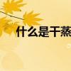 什么是干蒸汽加湿器 干蒸汽加湿器原理
