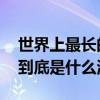 世界上最长的海峡是什么 世界上最长的海峡到底是什么海峡