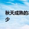 秋天成熟的水果有哪些 秋天成熟的水果有多少