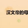 汉文帝的母亲是谁 汉文帝的母亲是哪位